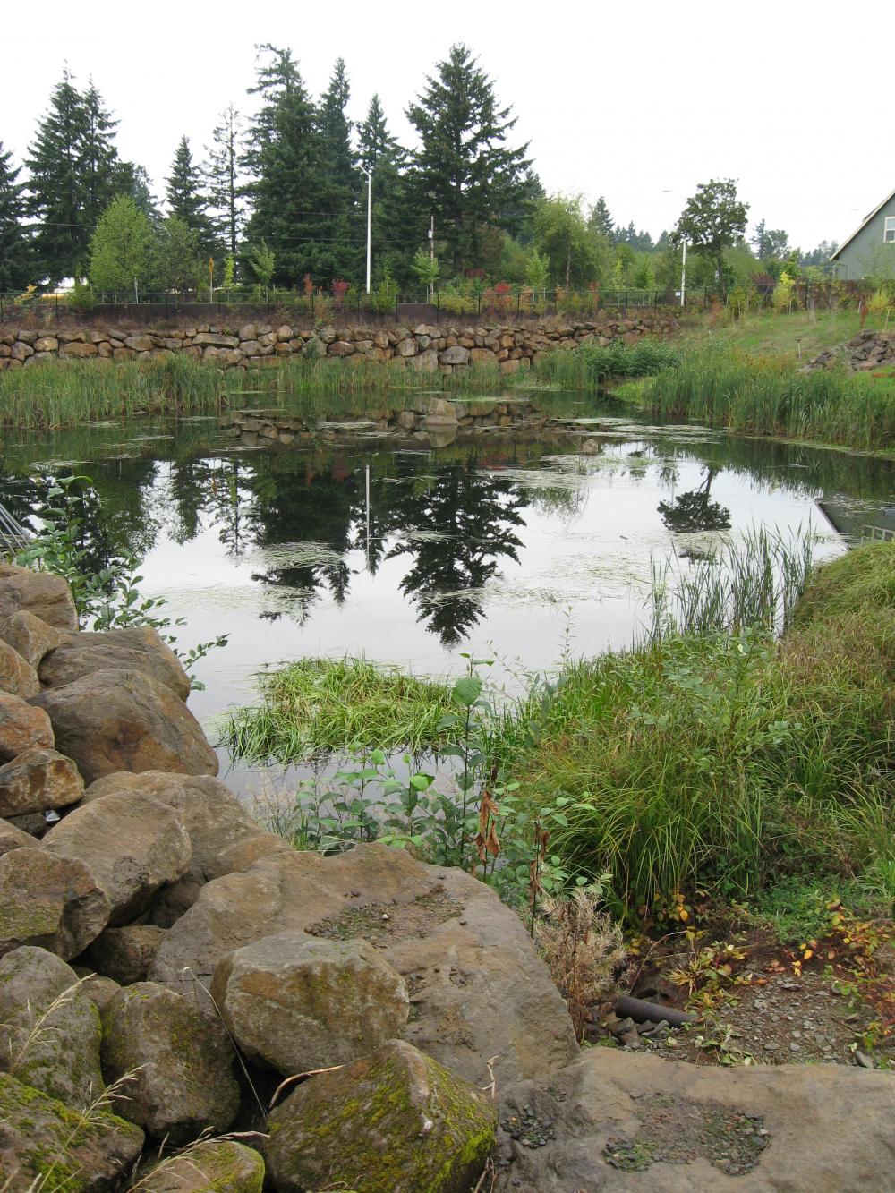 Stormwater Discharge Lagoon