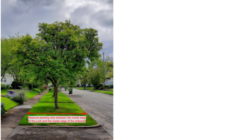 Measure Planting Strip