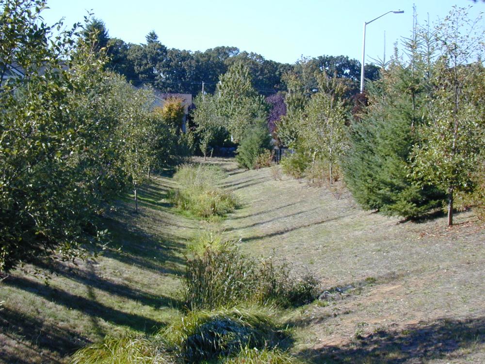 Stormwater Drainage Ditch