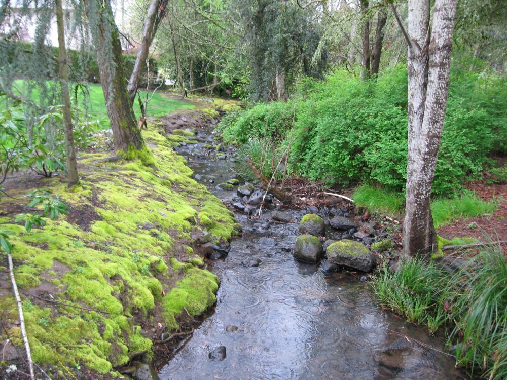 Coffee Barker Stream